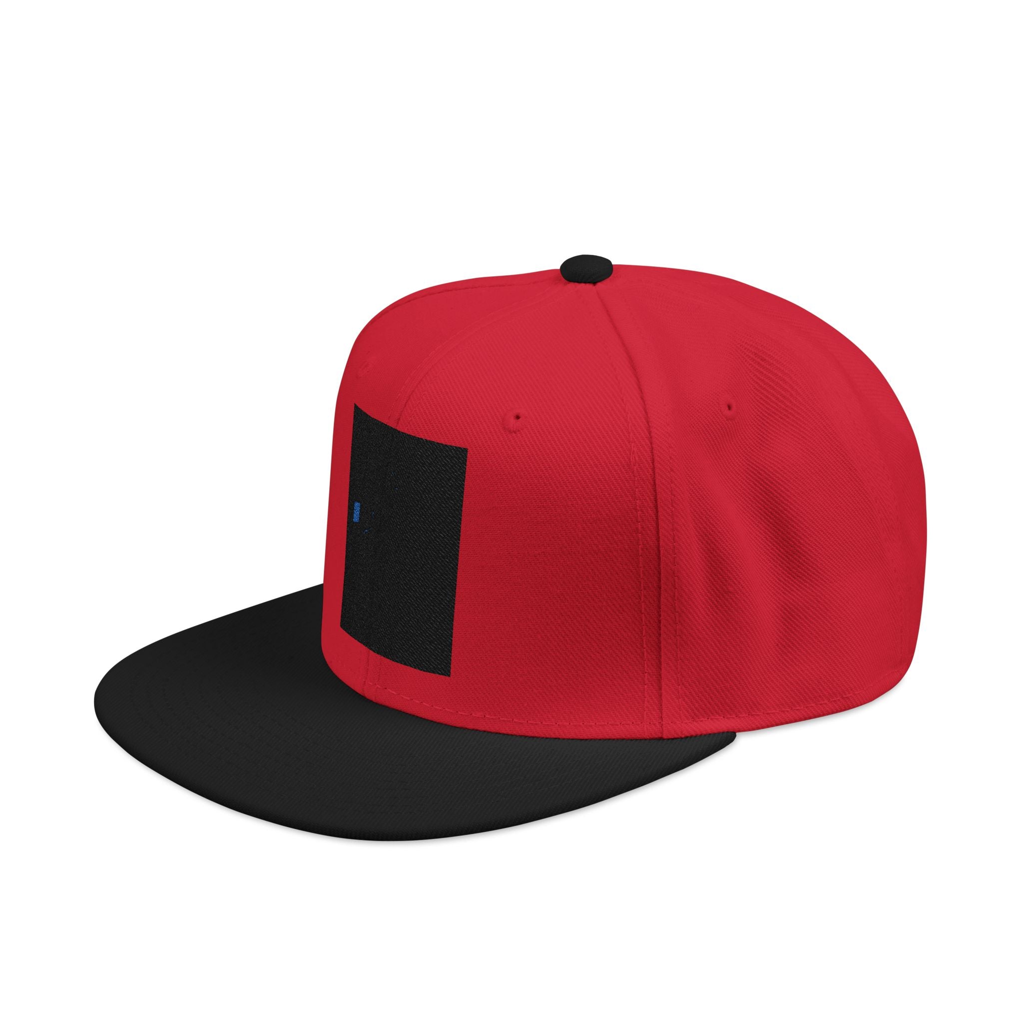 EVIL SNAPBACK